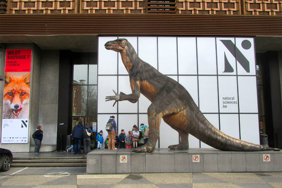 Museum Naturwissenschaften Br&uuml;ssel