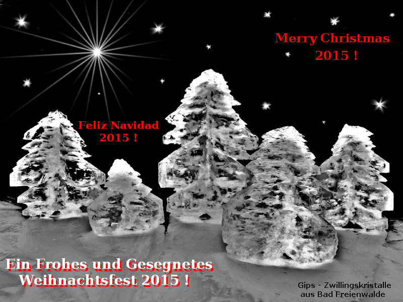 Gips Weihnachtsb&auml;ume 2015